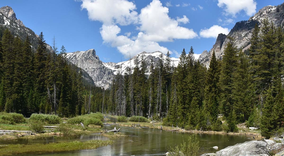 six reasons to take a wilderness adventure