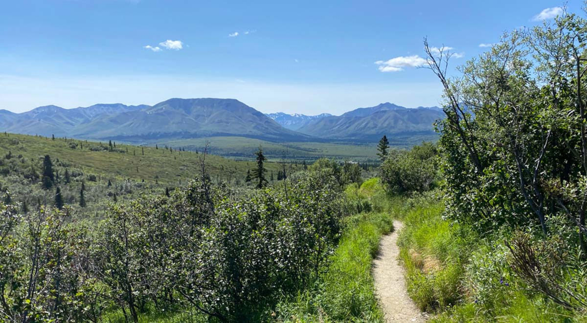 Leave It Better Than You Found It