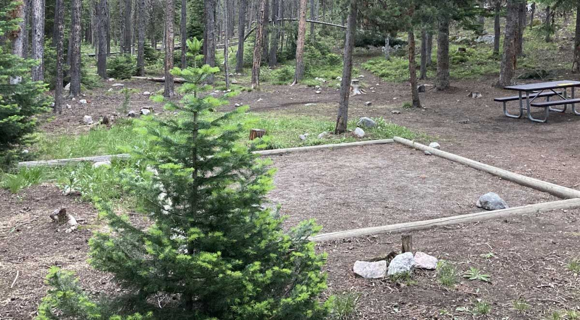 How to Reserve a Campsite at Jenny Lake