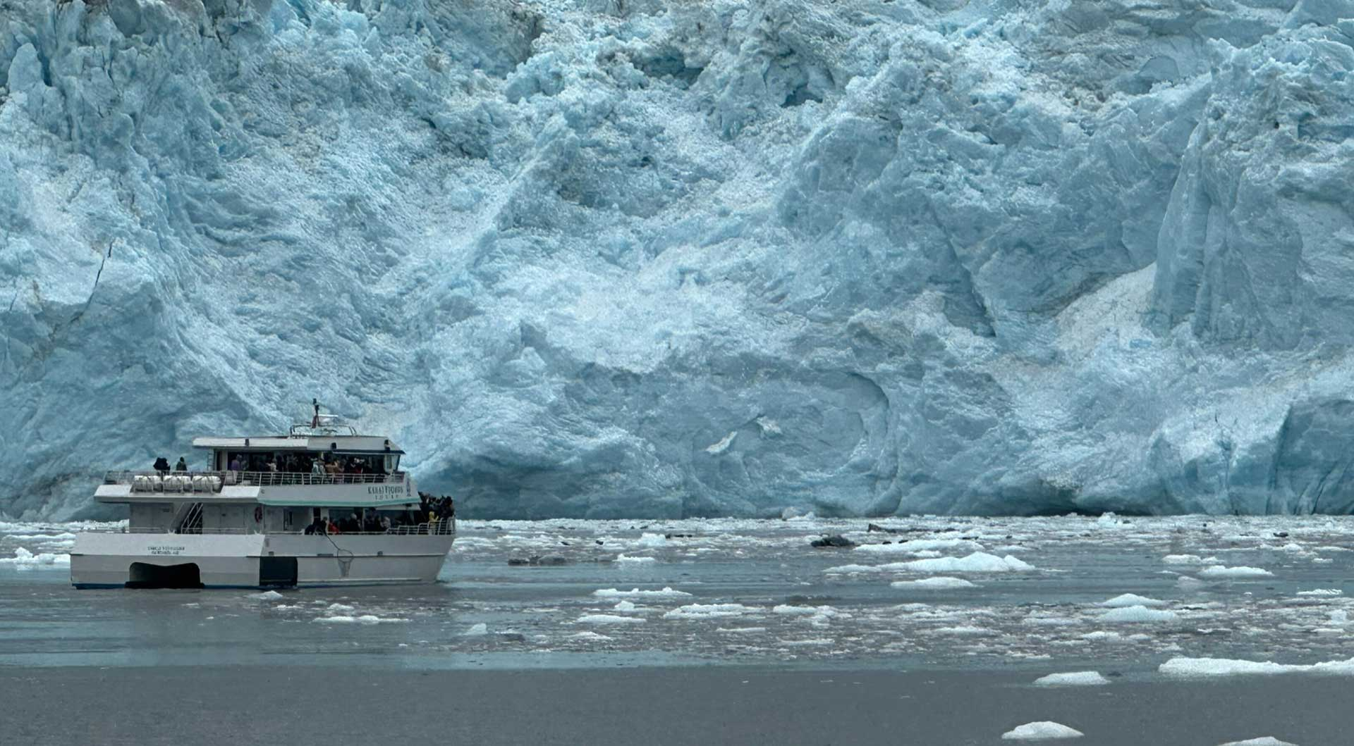 My Whale Watching Adventure in Alaska
