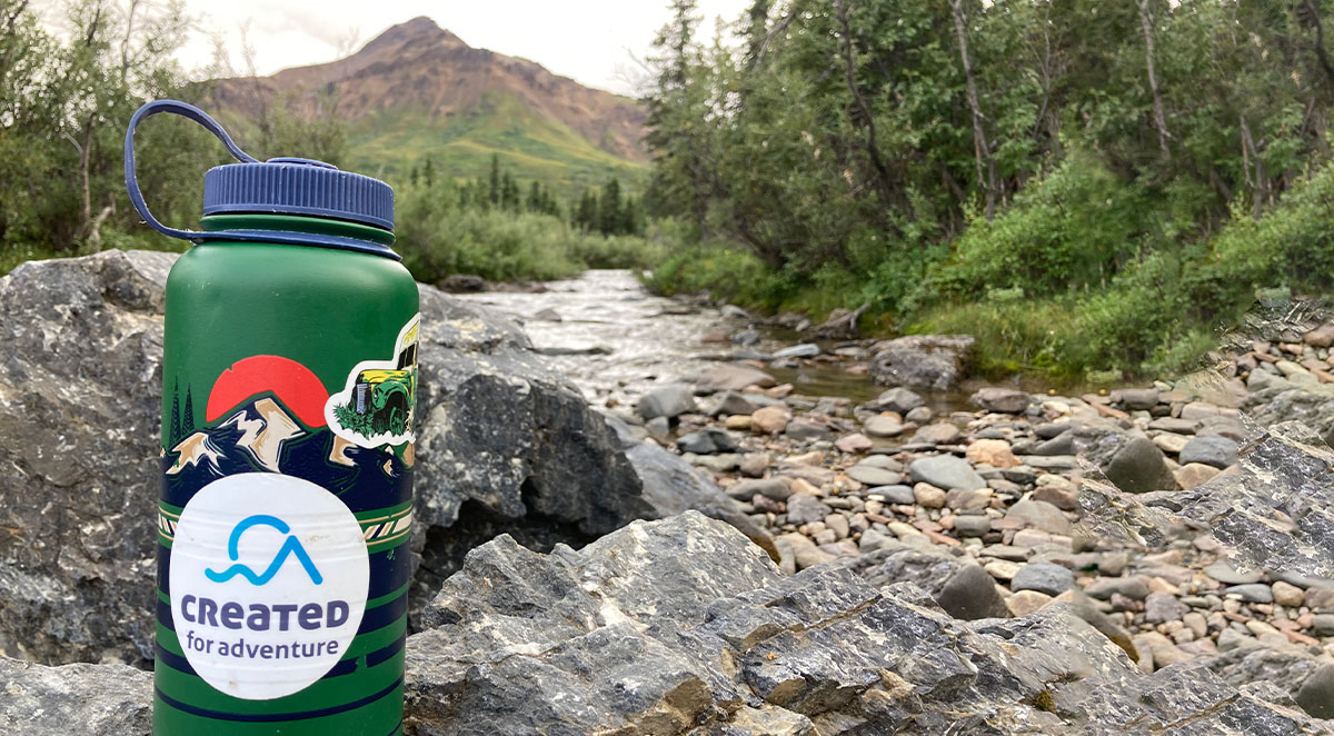 What Kind of Adventurer Are You?