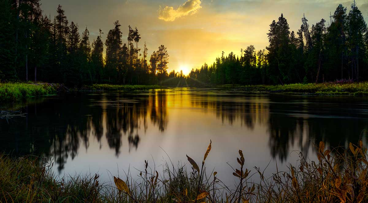 Top 5 Natural Wonders to visit in Yellowstone National Park
